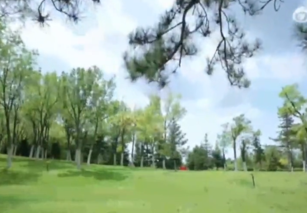 2026年4月14日【新區(qū)新聞】